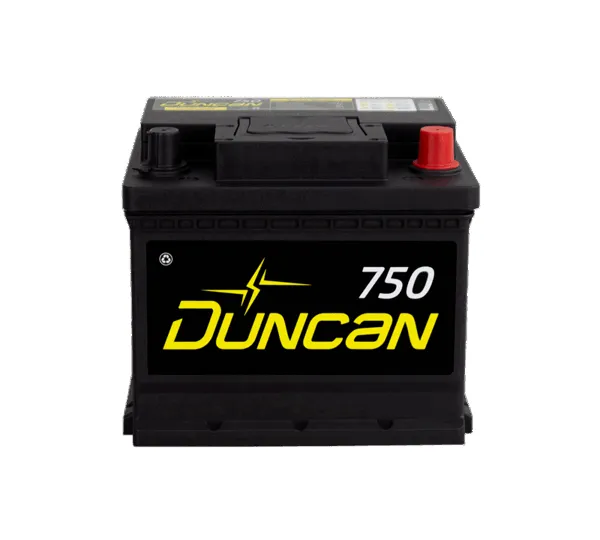 DUNCAN_36R-750